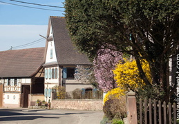 Wickersheim-Wilshausen-014