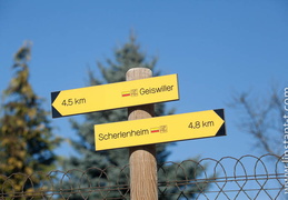 Wickersheim-Wilshausen-019