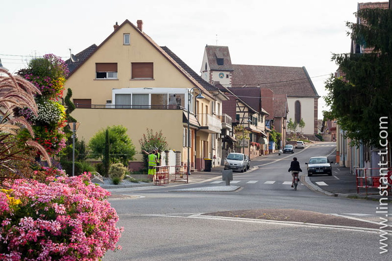 Rond point fleuri Wingersheim-020.jpg
