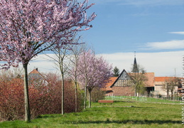 Zoebersdorf-06