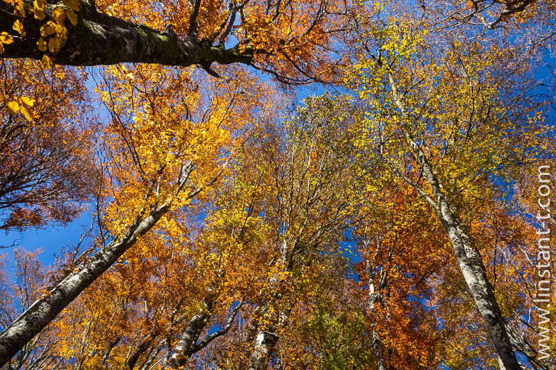 Neuweiher-021