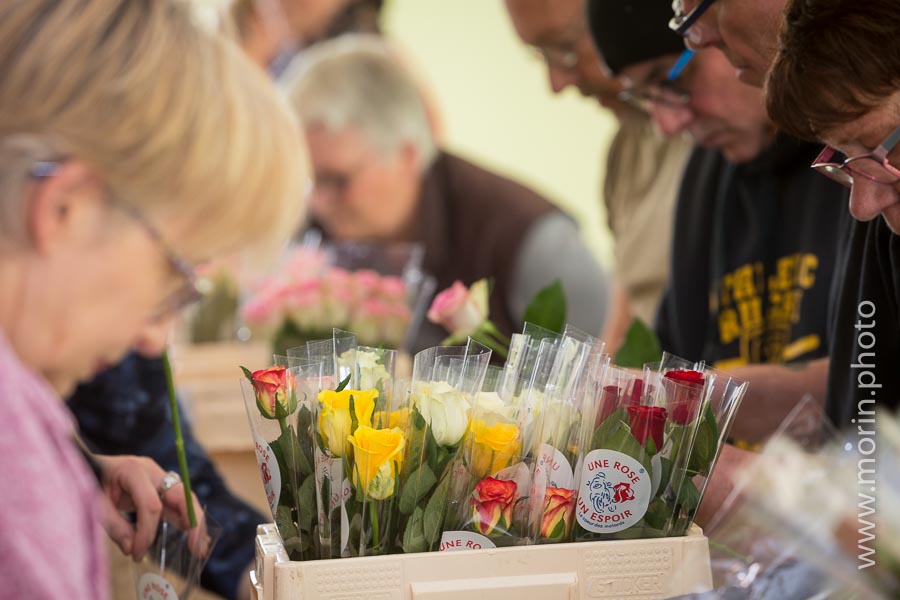 Préparation des roses