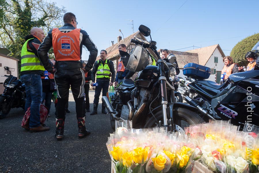 Le groupe de Wickersheim, motos arrétées, roses au premier plan